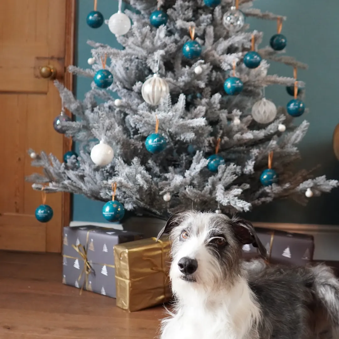 Innocent Hound Christmas Bauble for Dogs