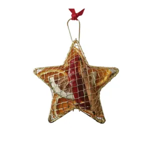 Jormaepourri 10cm Gold Mesh Fruit Star